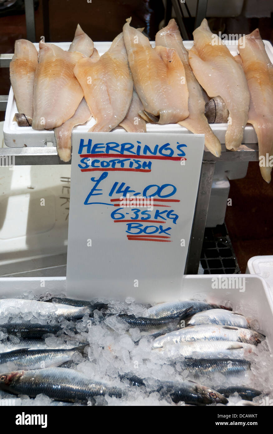 Fresh Herrings at Billingsgate Fish Market, Isle of Dogs, London