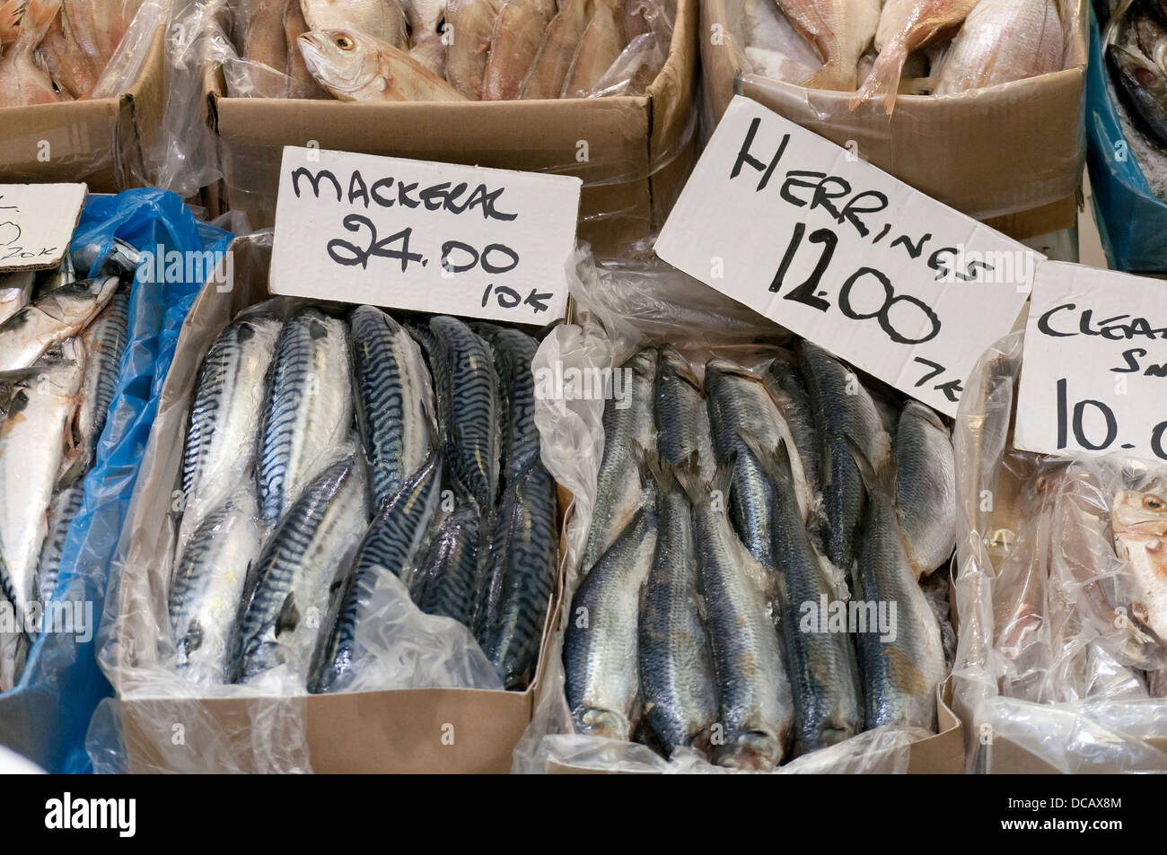 Fresh Fish at Billingsgate Market, Isle of Dogs, London, England, UK