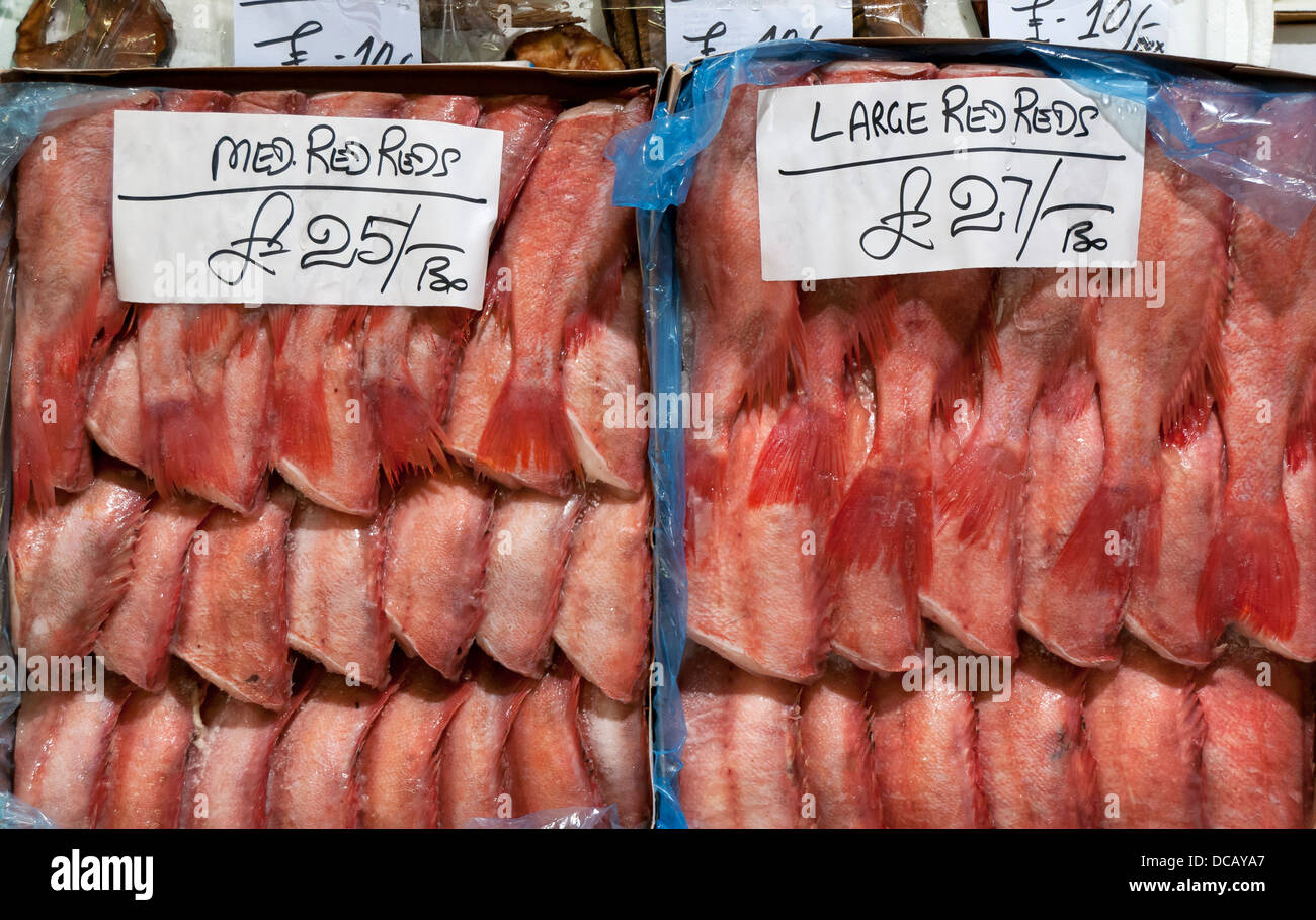 Red Reds on Display at Billingsgate Fish Market, Isle of Dogs, London, England, UK Stock Photo