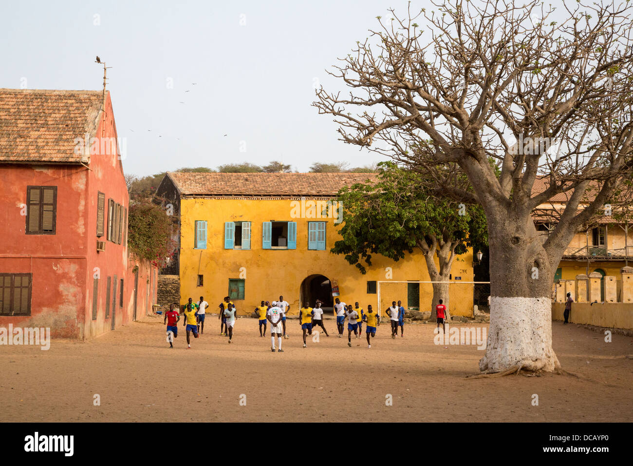 Sports Team Practicing Calesthenics, Goree Island, Senegal. Baobab Tree on right. Stock Photo