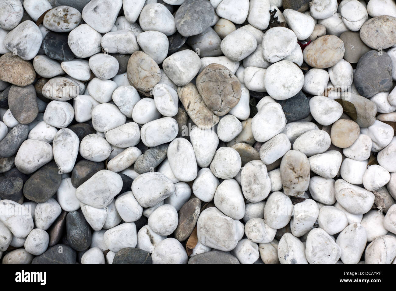 background of white cobblestone closeup Stock Photo - Alamy