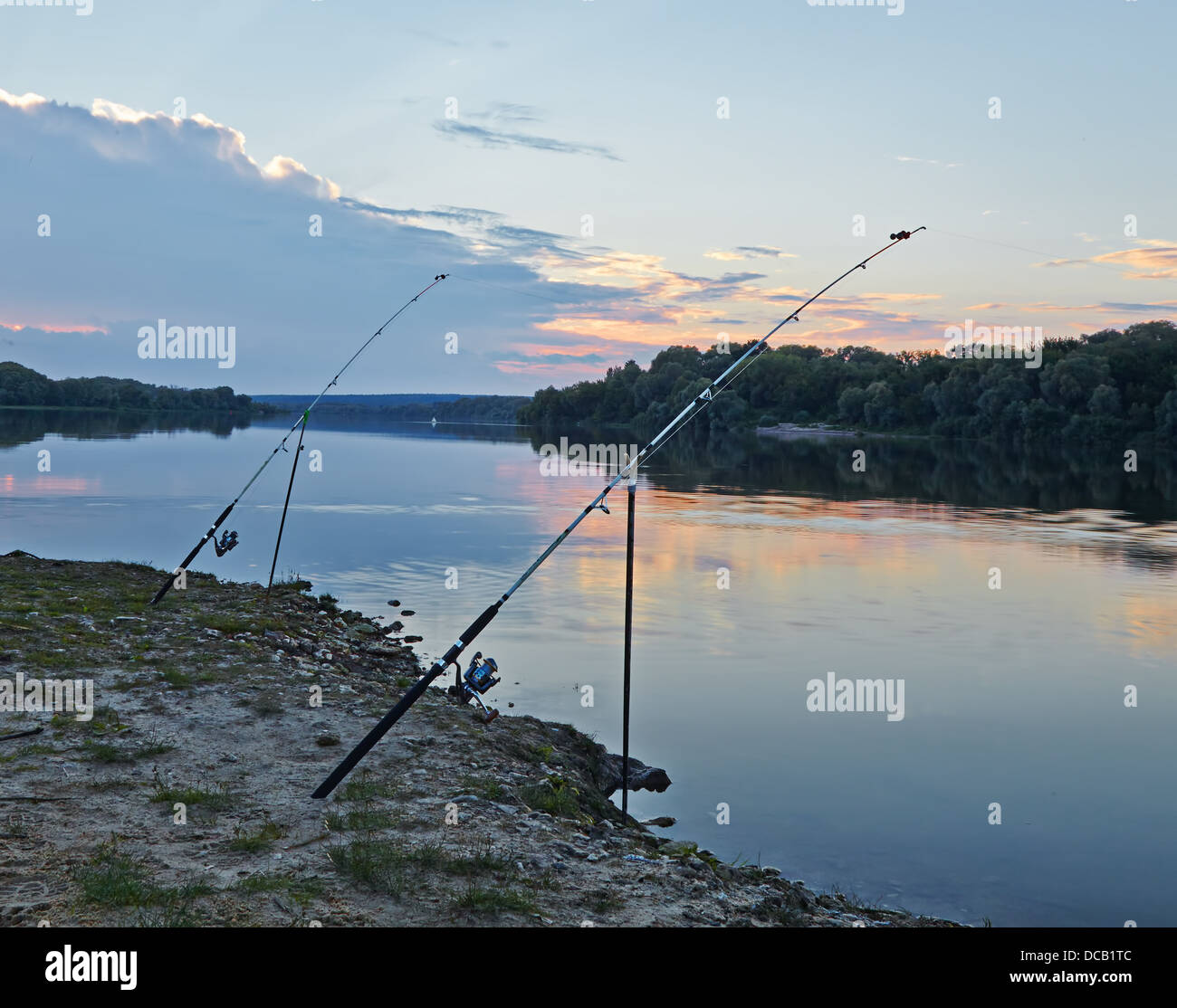 Rods in the sunset on the river, close-up, landscape image Stock Photo