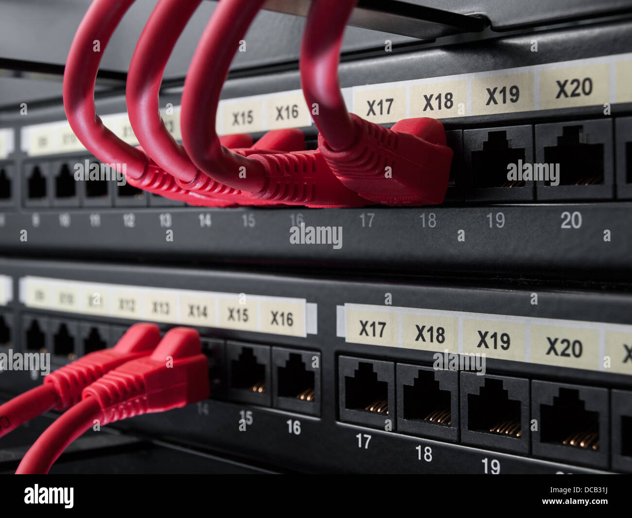 network cables plugged into the switch sockets ,for networking,IT ...