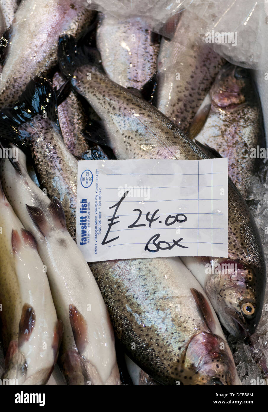 Fresh Rainbow Trout at Billingsgate Fish Market, Isle of Dogs, London