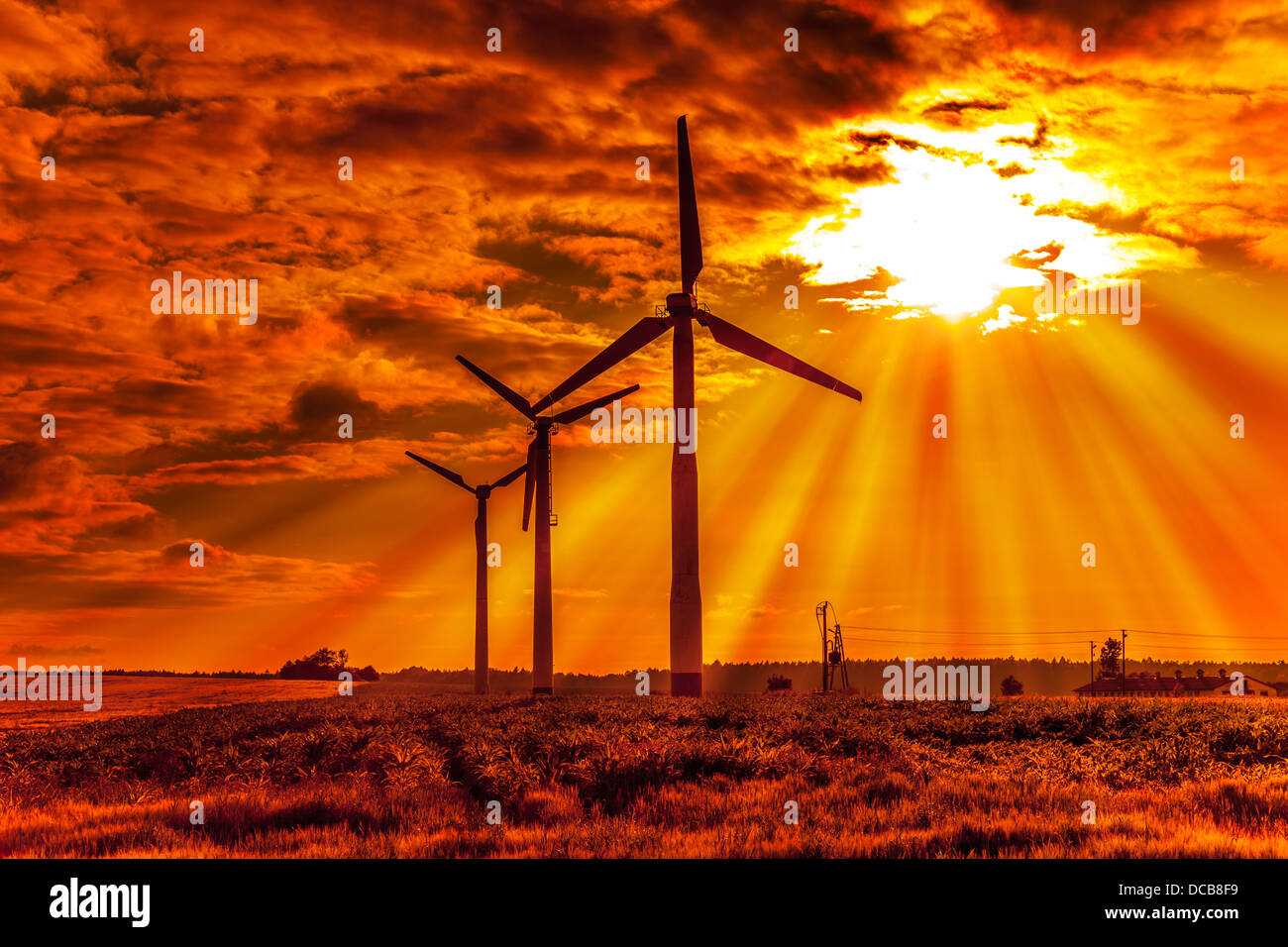 Scenic view of silhouetted wind turbines with orange sunset background ...