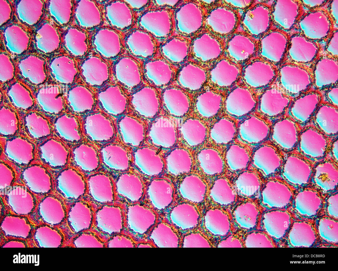 Nickel silver hires stock photography and images Alamy