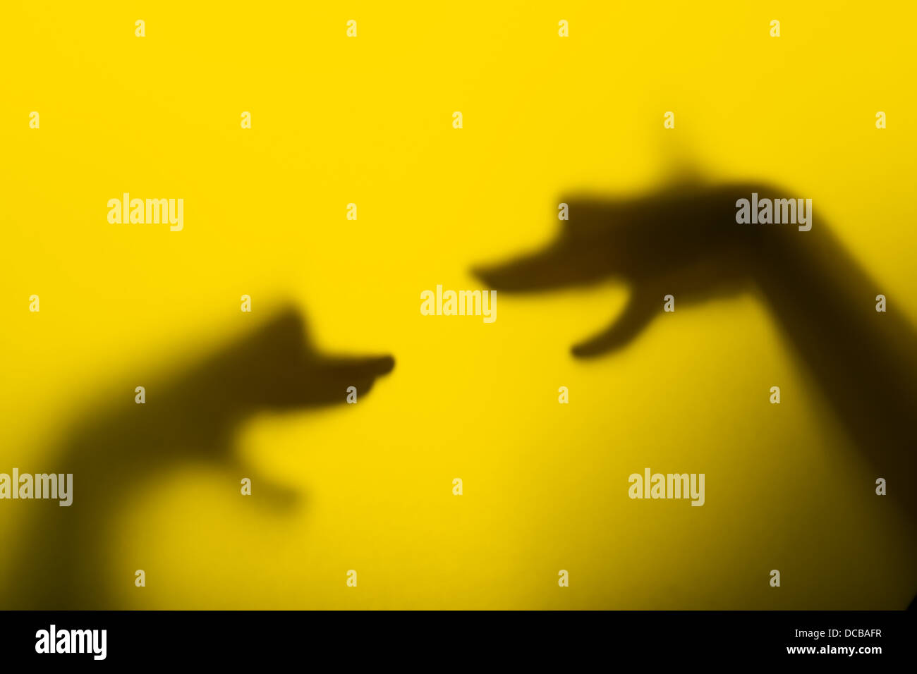 Shadow hand puppets (Dog's heads) Stock Photo