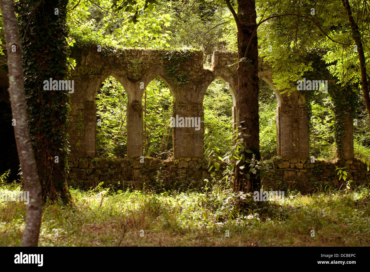 Ancient ruins in a forest hi-res stock photography and images - Alamy