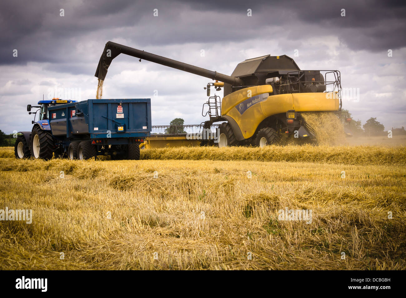 Combine Harvester at work Stock Photo