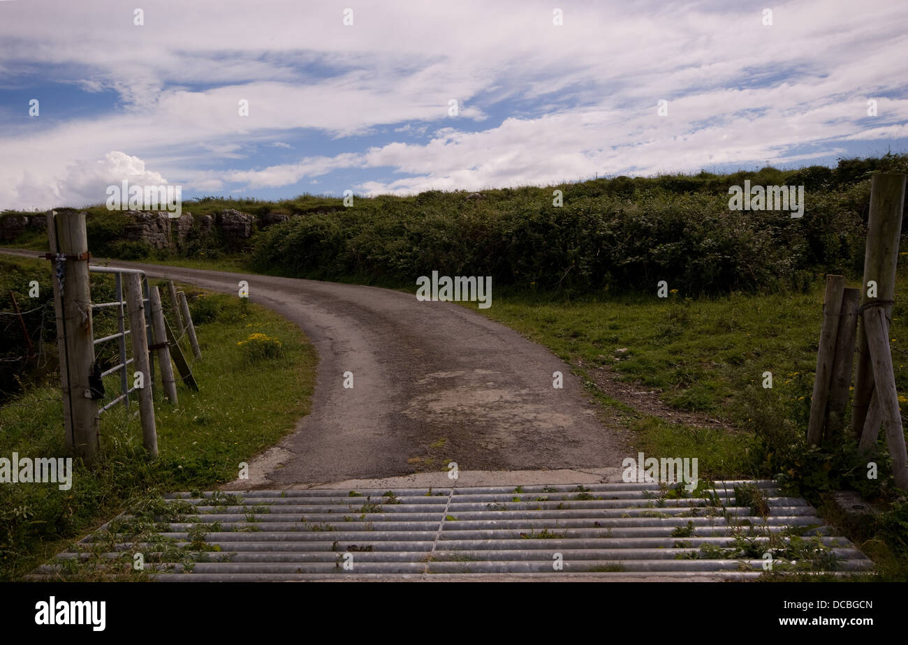 Cattle Grid on a twisty country lane in Southern Ireland Stock Photo