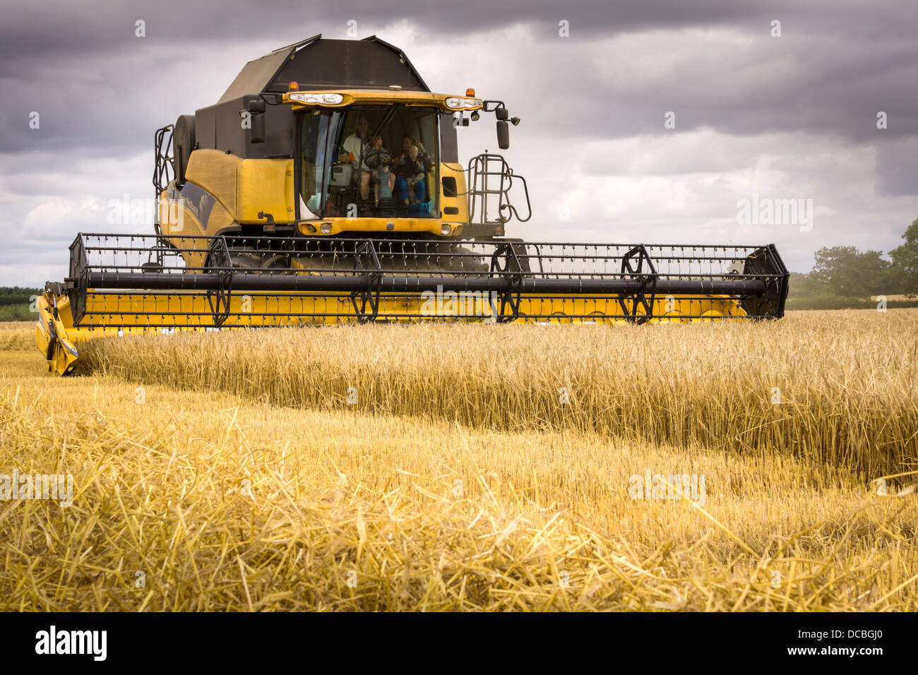 Combine Harvester at work Stock Photo Alamy