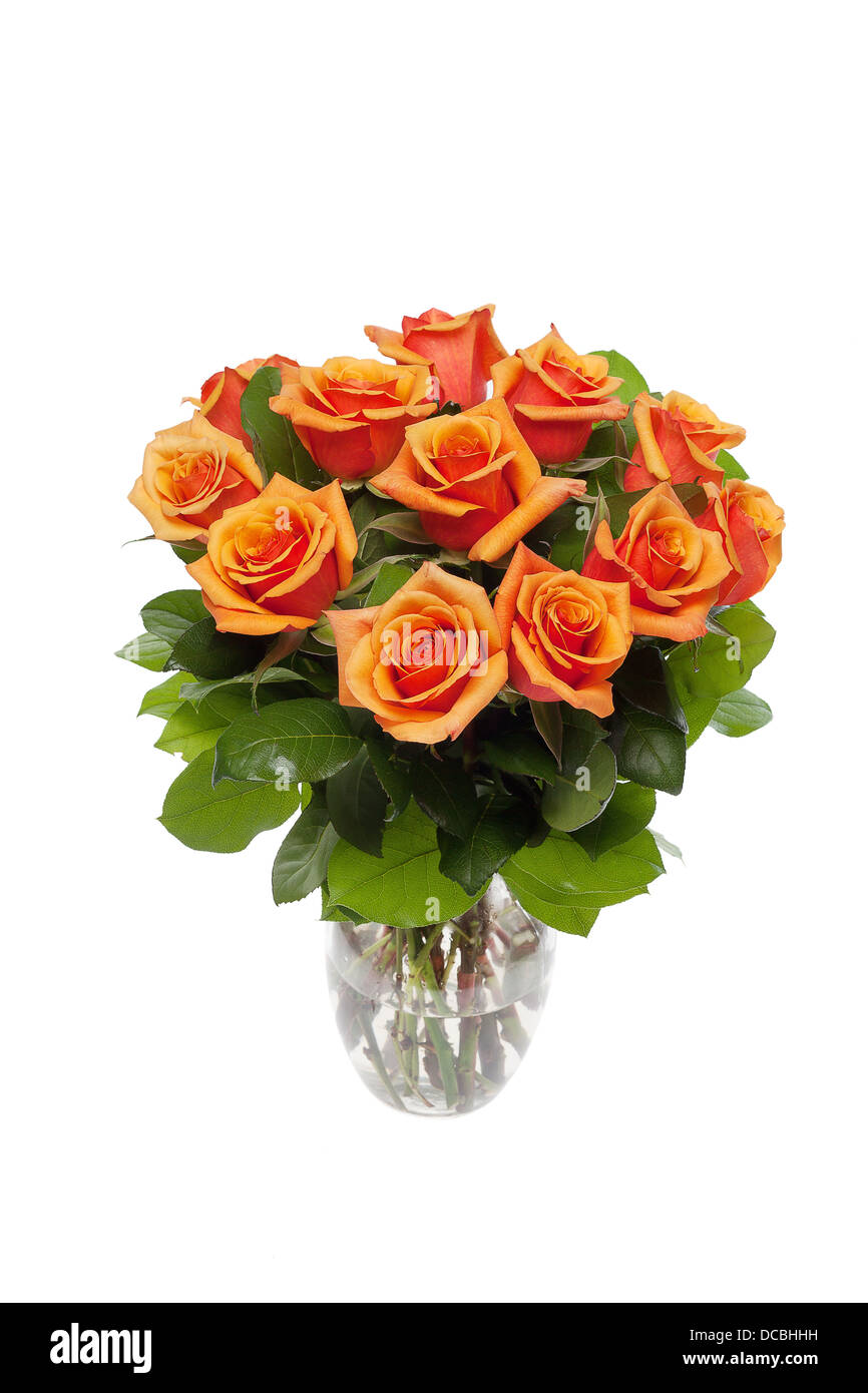 Floral stock images Stock Photo