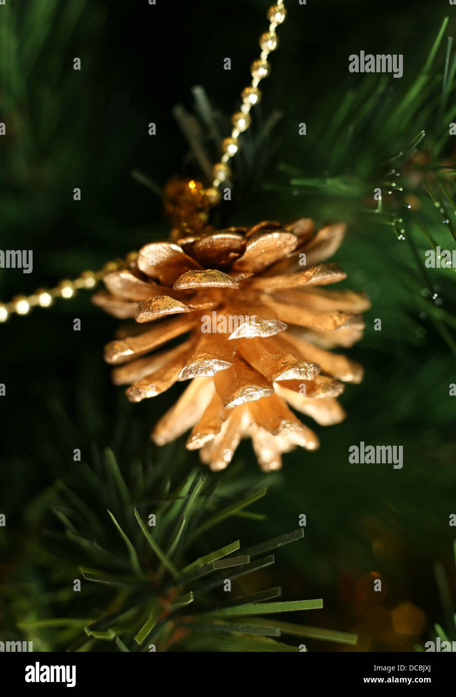 Gold pine cones Stock Photo - Alamy