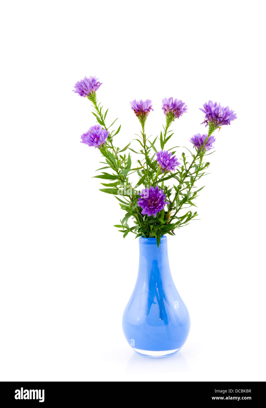 Blue vase with purple asters Stock Photo