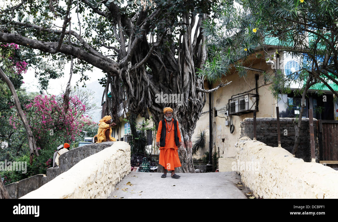 Trees In Rishikesh Scary face tree hi-res stock photography and images - Alamy