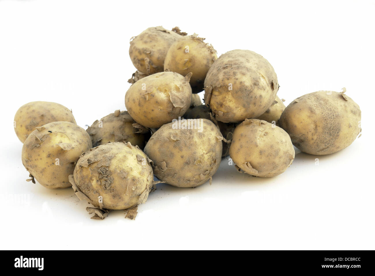 Potato harvest, autumn garden Cut Out Stock Images & Pictures - Page 2 -  Alamy