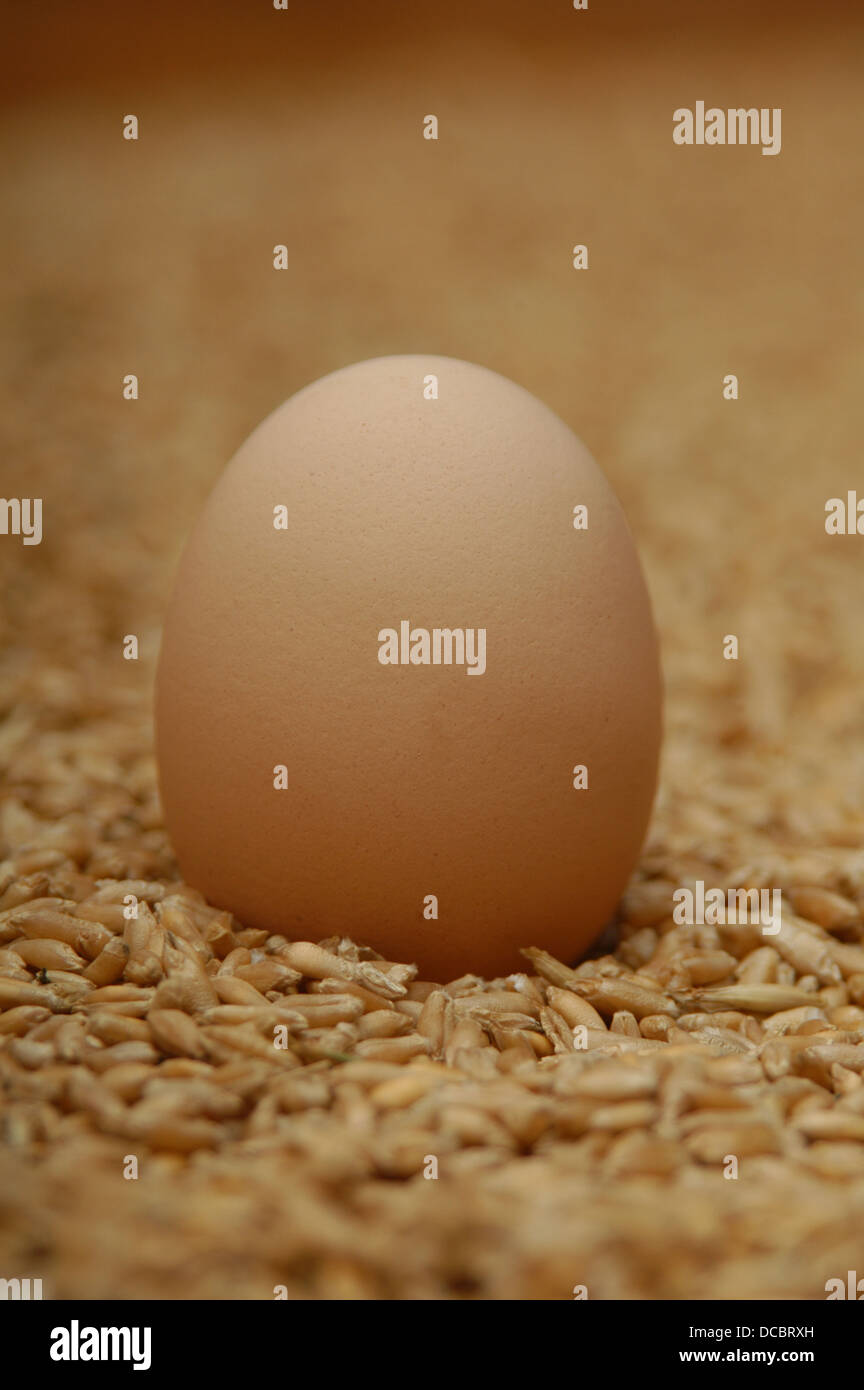 i love eggs Stock Photo - Alamy
