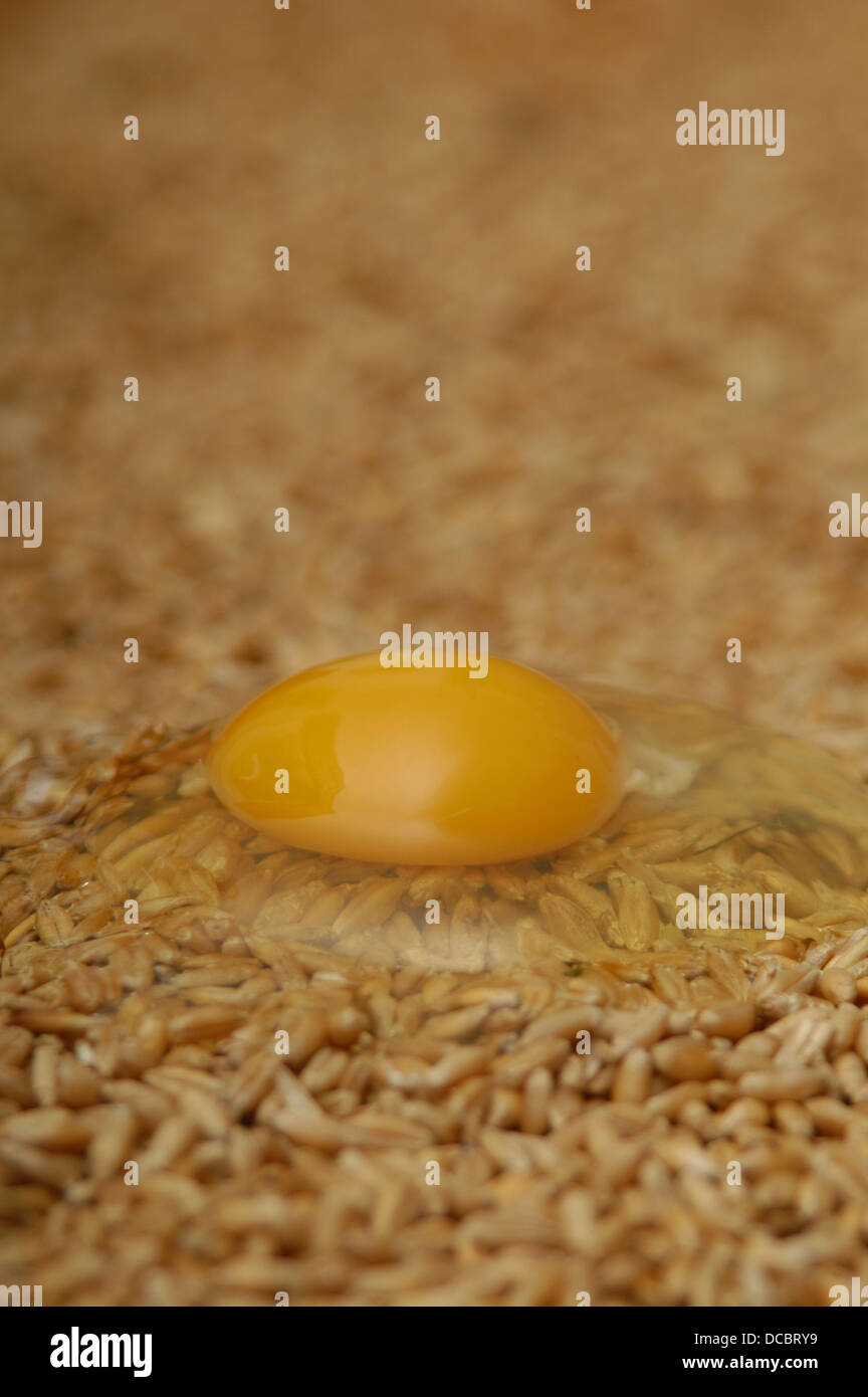 i love eggs Stock Photo - Alamy