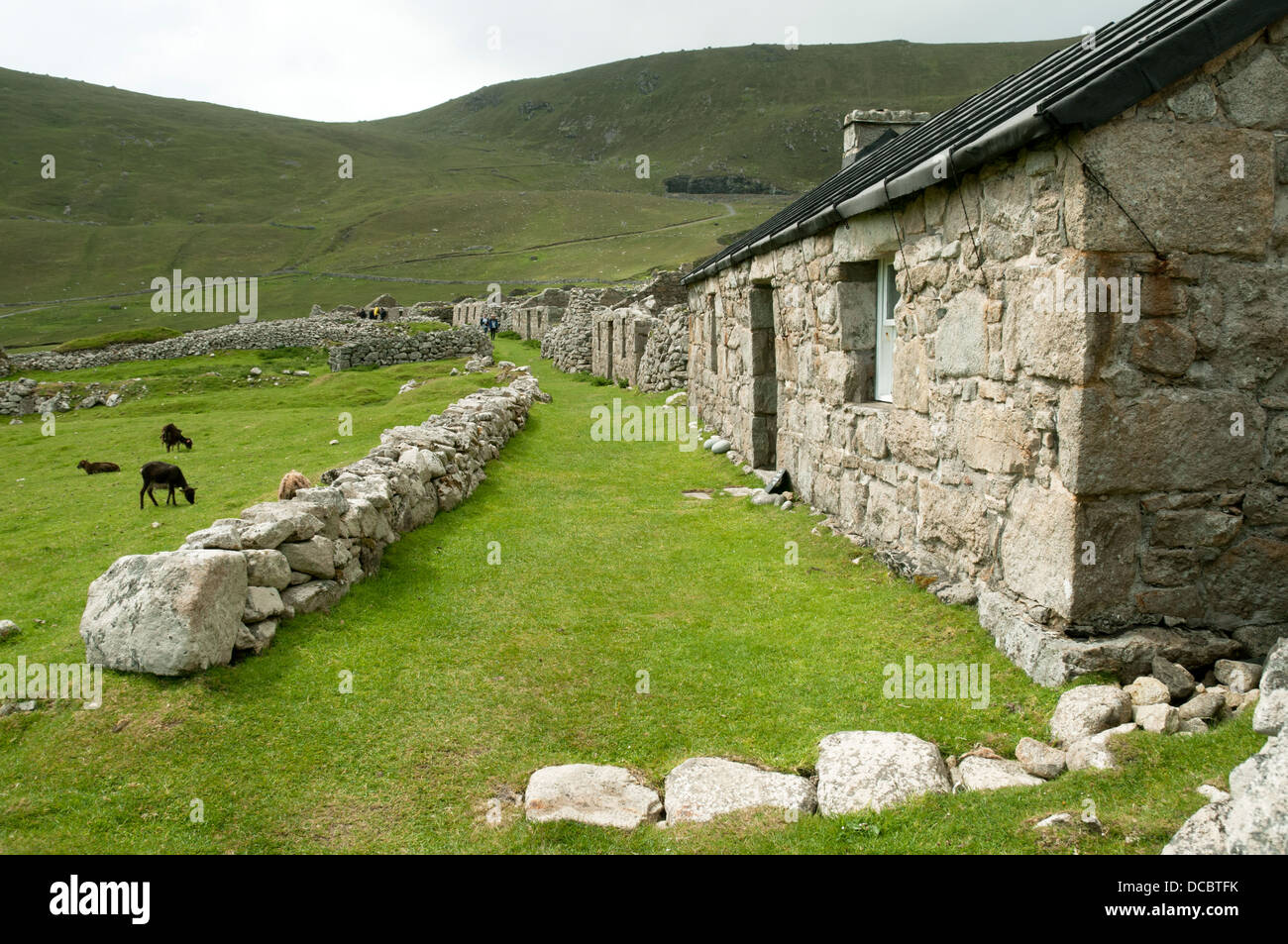 Cottages in the Village Street, Hirta, St Kilda, Outer Hebrides, Scotland, UK Stock Photo