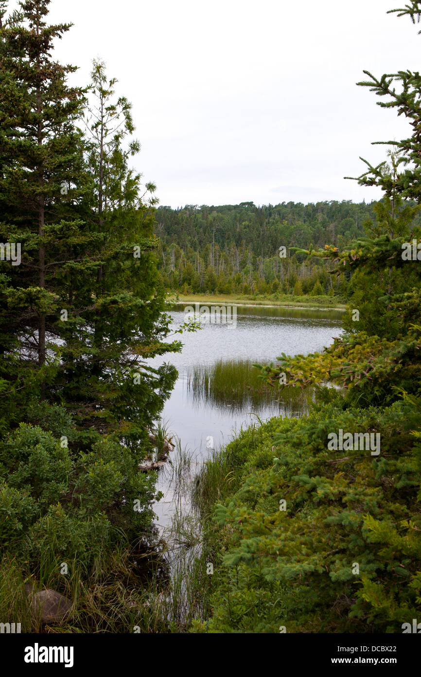 Hidden Lake, Isle Royale National Park, Michigan, United States of America Stock Photo