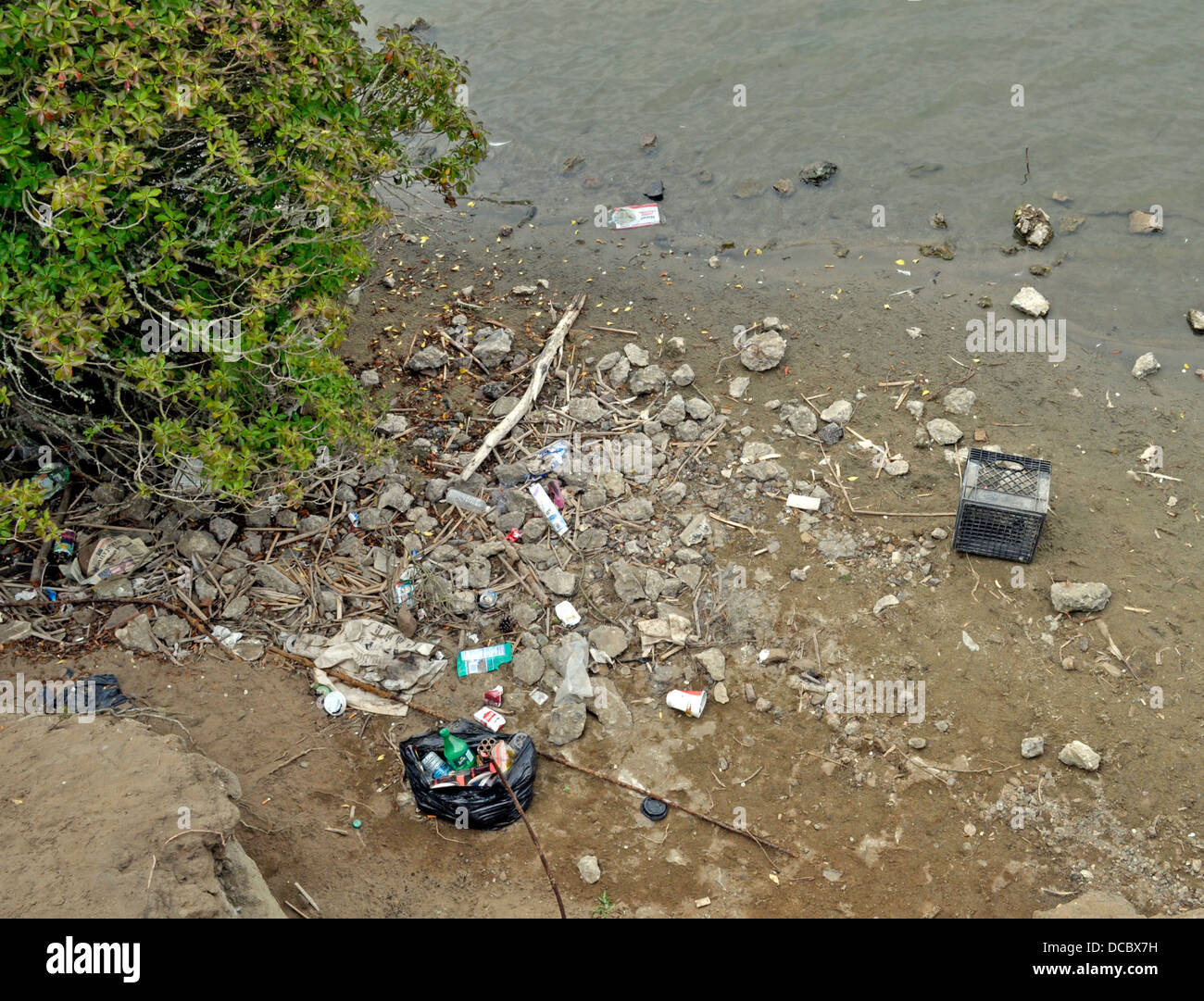 litter on lake shore Stock Photo