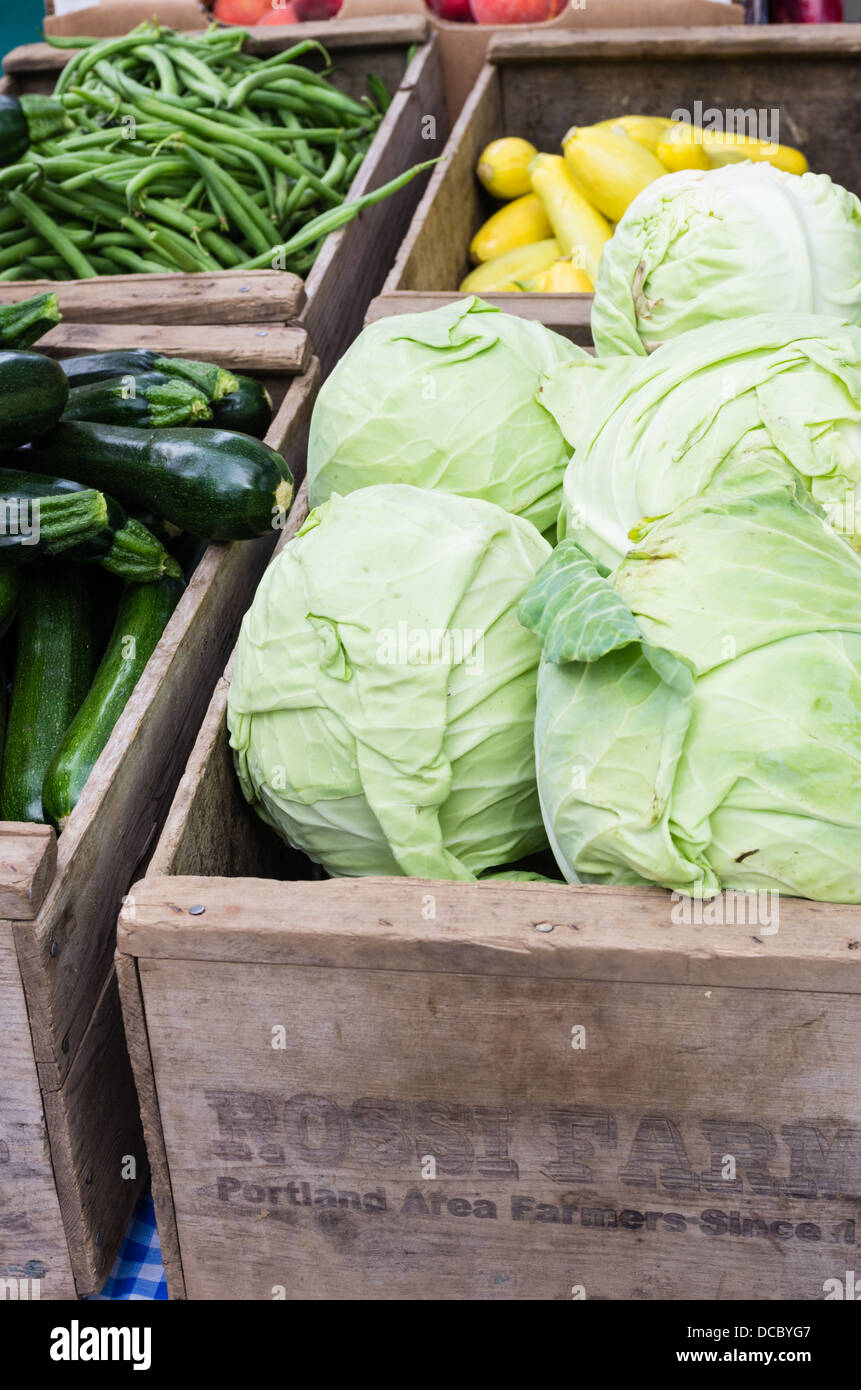 Gresham Oregon.  Produce display at the local farmers market with cabbages and squash Stock Photo