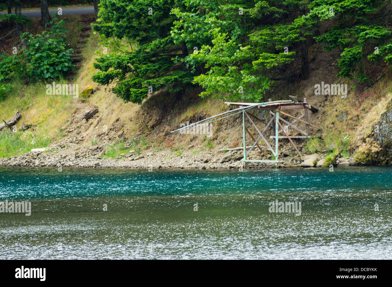 Cook Washington. Little White Salmon National Fish Hatchery Native