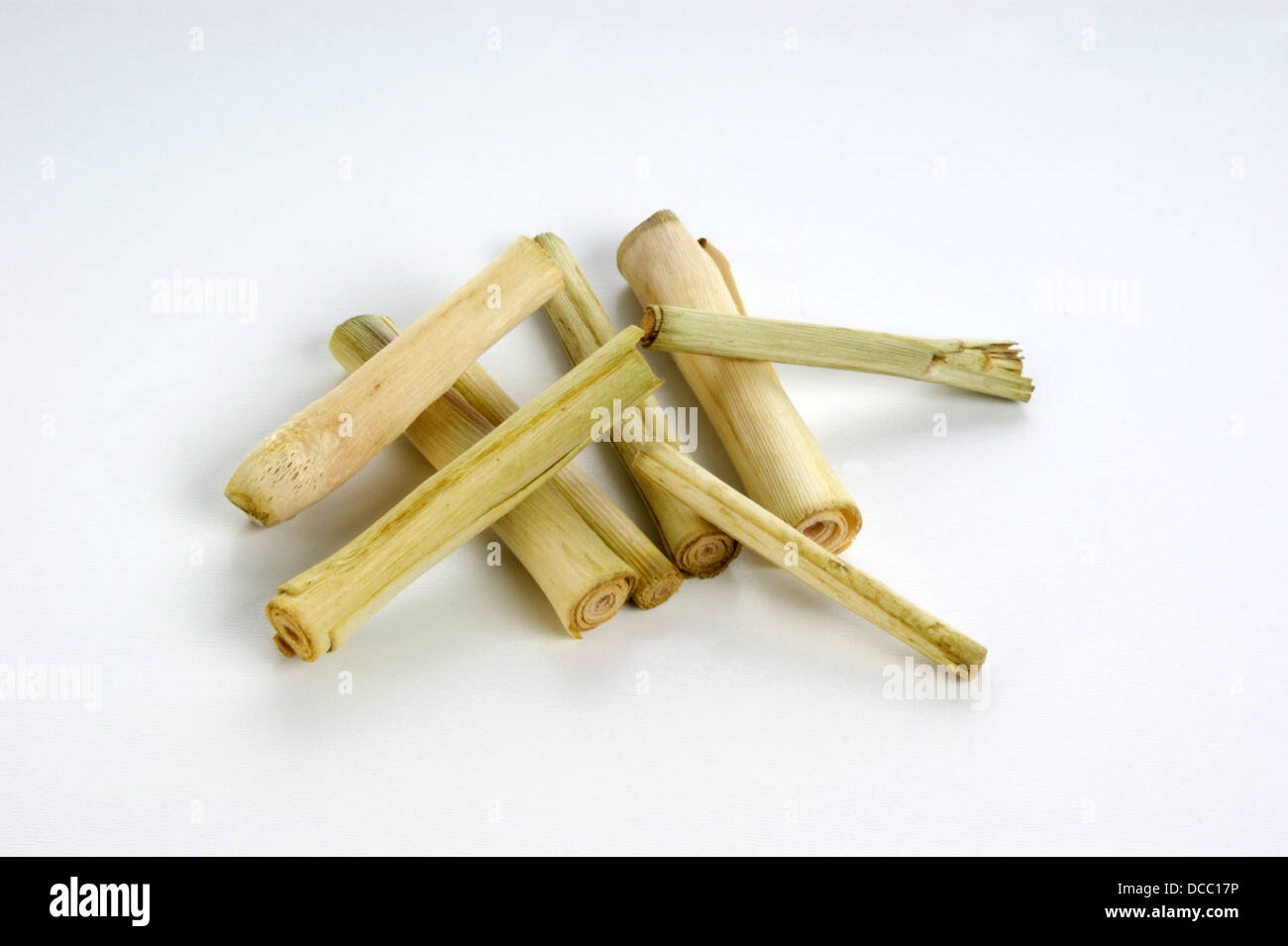 Thai Lemon Grass And A White Background Stock Photo Alamy   Thai Lemon Grass And A White Background DCC17P 