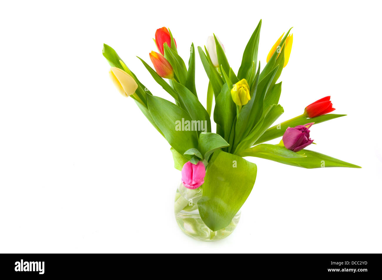 vase with tulips Stock Photo Alamy