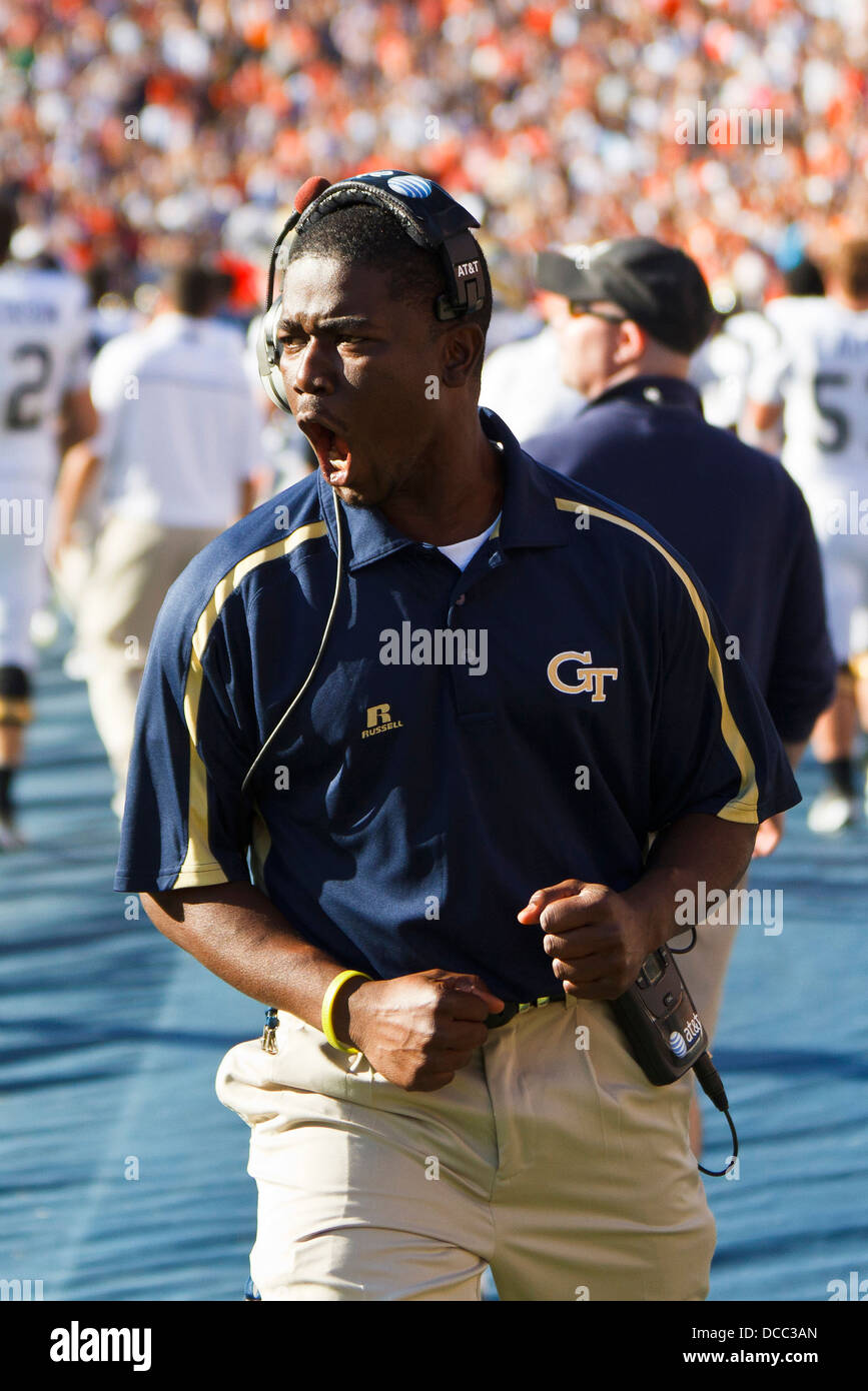 Georgia Tech Yellow Jackets assistant coach Lamar Owens celebrates on the  sidelines after his team scored a touchdown against th Stock Photo - Alamy