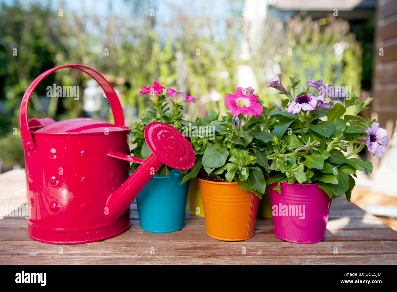 Удобрения для комнатных растений. Какие цветы как поливать. Полив комнатных цветов. Какие цветы как поливать. Вода для полива комнатных растений.