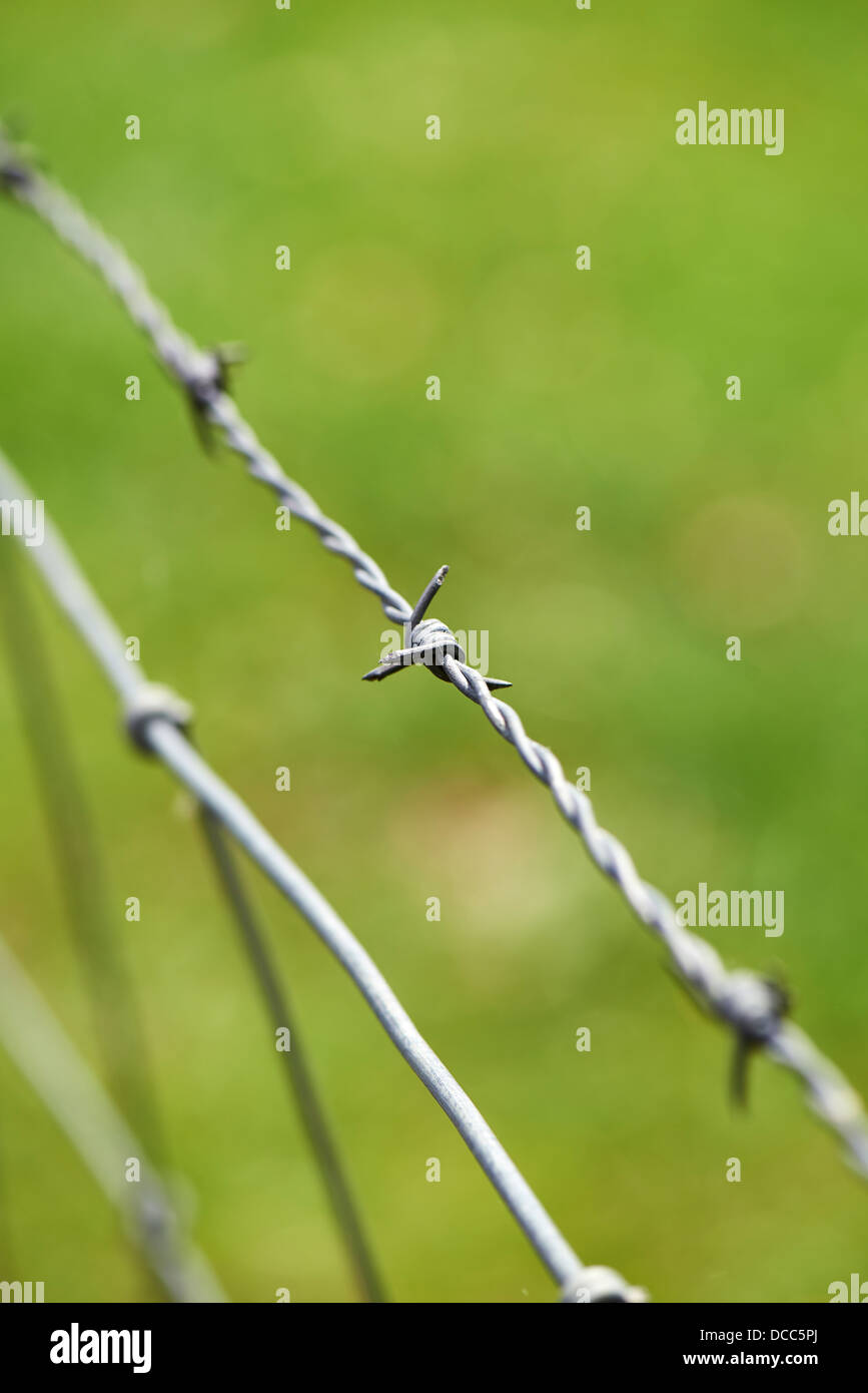 Barbed fence wired against green doff Stock Photo