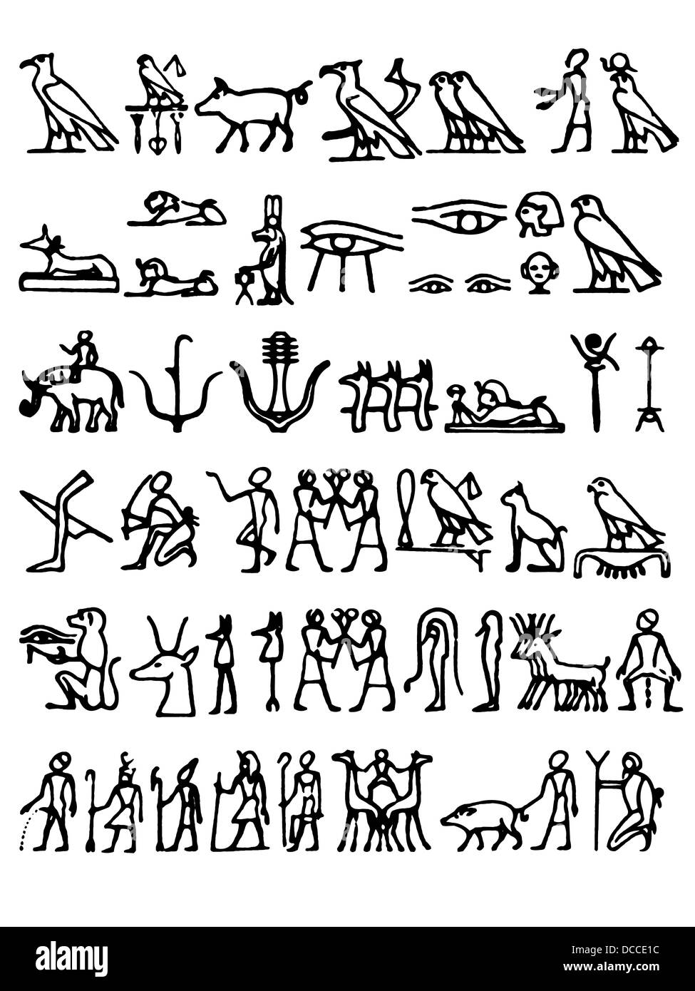 Body shapes illustration Black and White Stock Photos & Images - Alamy