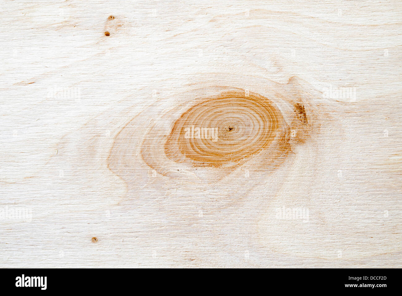 detailed plywood surface with knot pattern Stock Photo