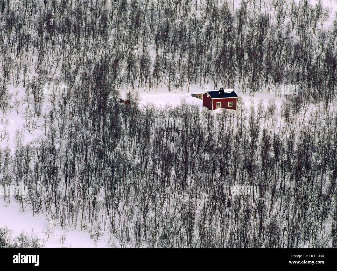 House in the forest. Lappland. Sweden Stock Photo Alamy