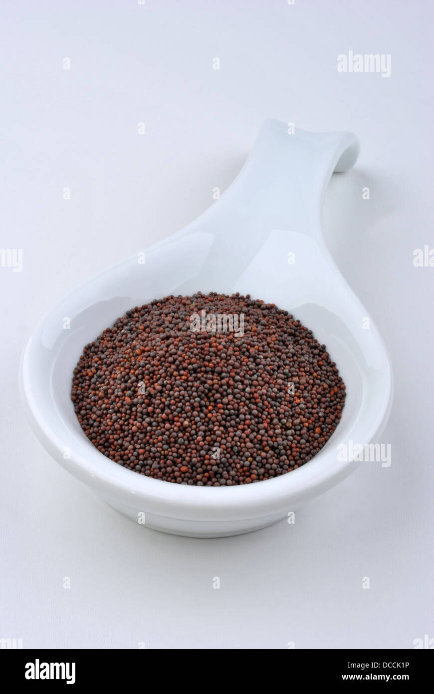 brown mustard seeds are tiny round seed Stock Photo Alamy