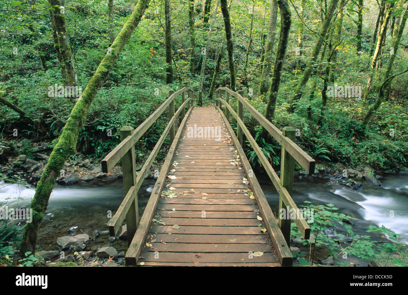 Bridal Veil Falls State Park. Oregon. USA Stock Photo Alamy
