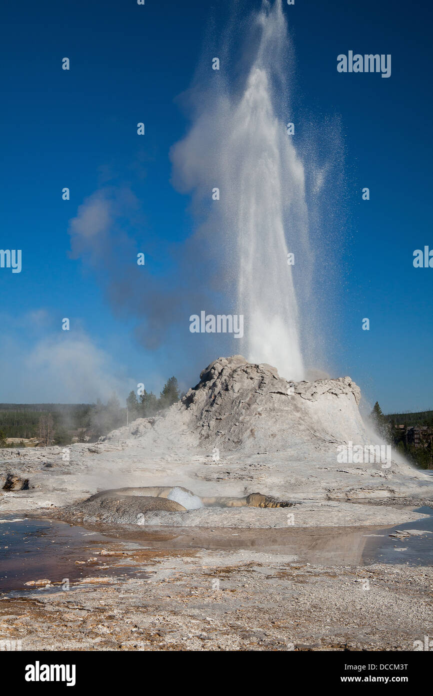Gayser eruption in Castle Geyser in the Yellowstone National Park Stock Photo