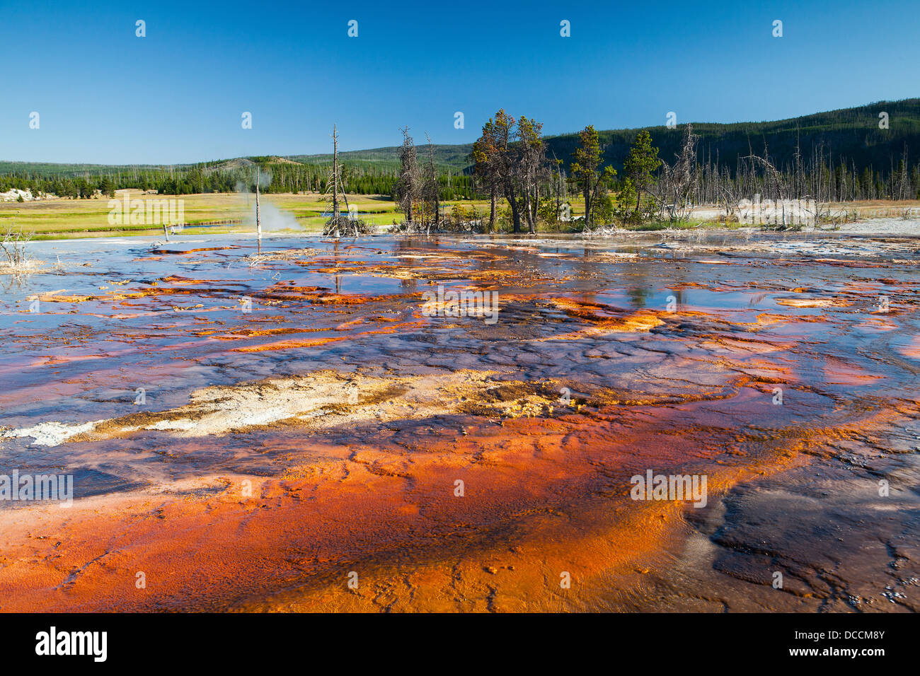 Geothermal landscape in Yellowstone National Park Stock Photo