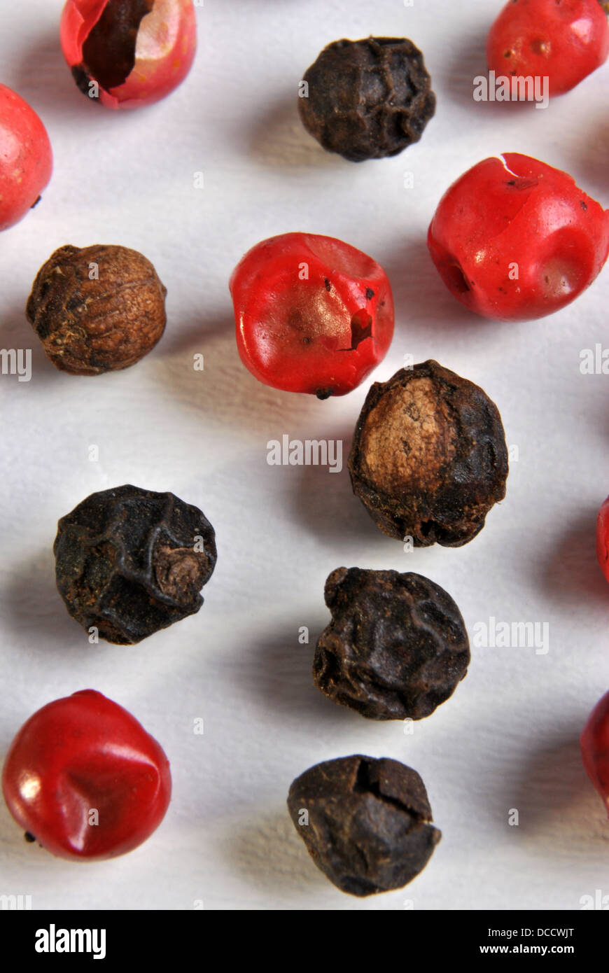 black and red pepper on a white background Stock Photo - Alamy