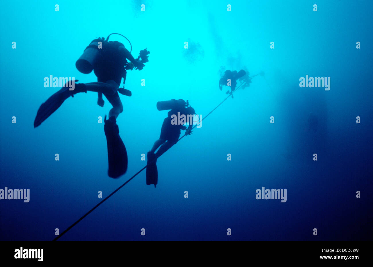 Divers ascending mooring line Stock Photo Alamy