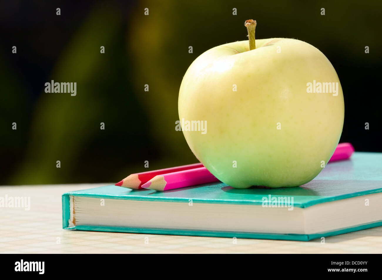Tools for school with apple placed near on green background Stock Photo
