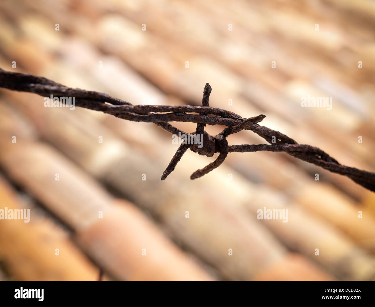 Detail of rusty barbed wire above the roof... Stock Photo