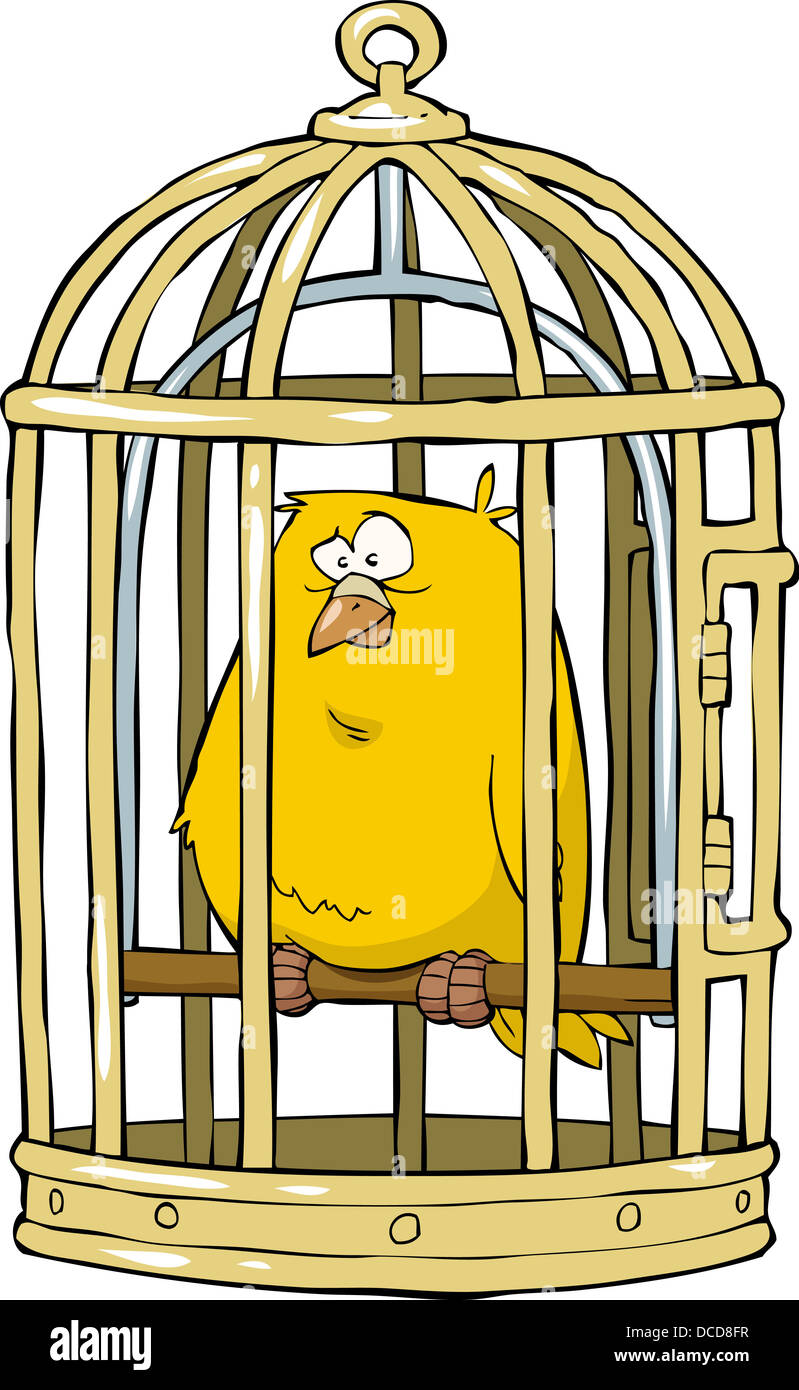 Canary in a bird cage Stock Photo - Alamy