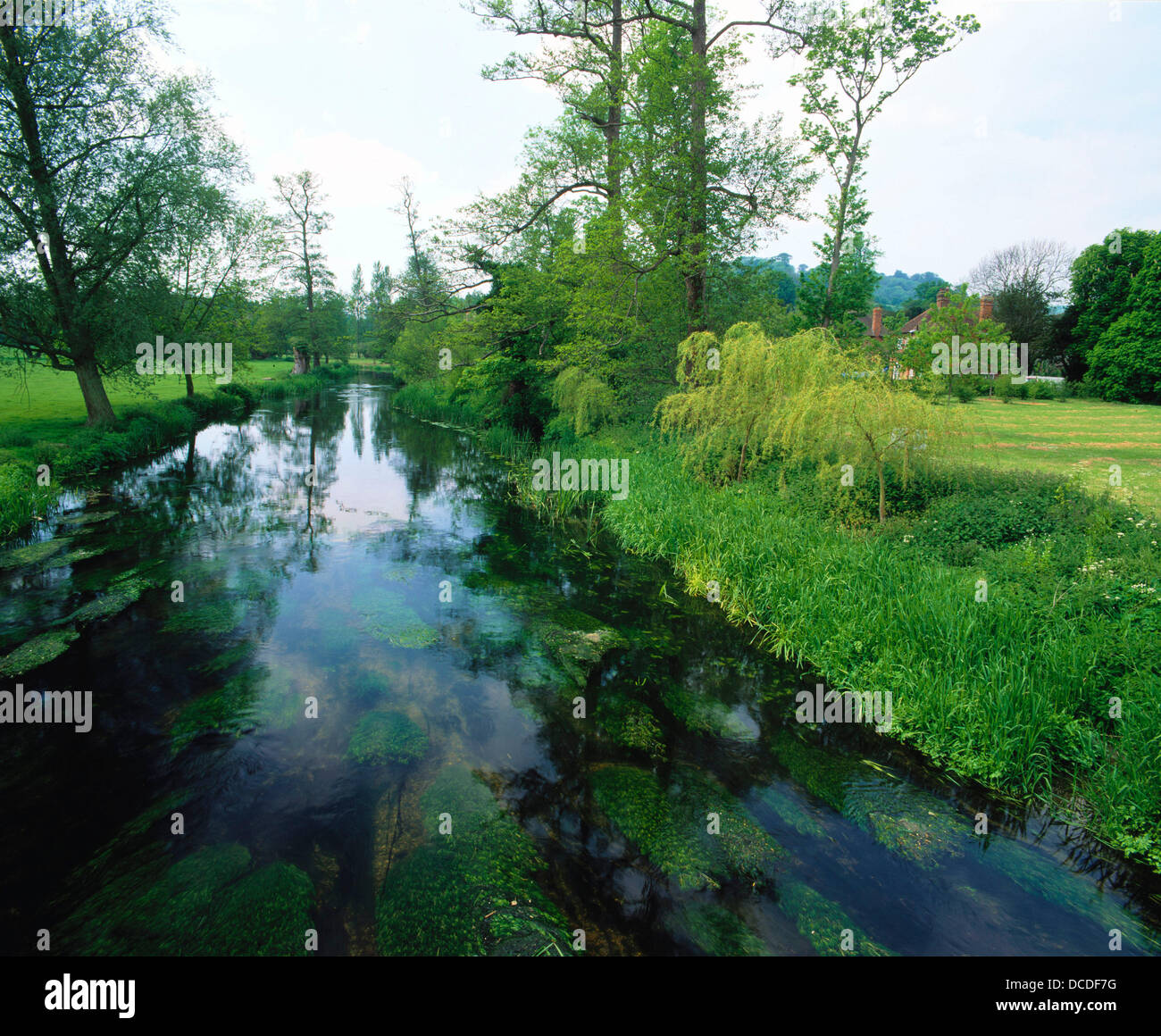 River Stour. Godmersham. Kent. England Stock Photo Alamy