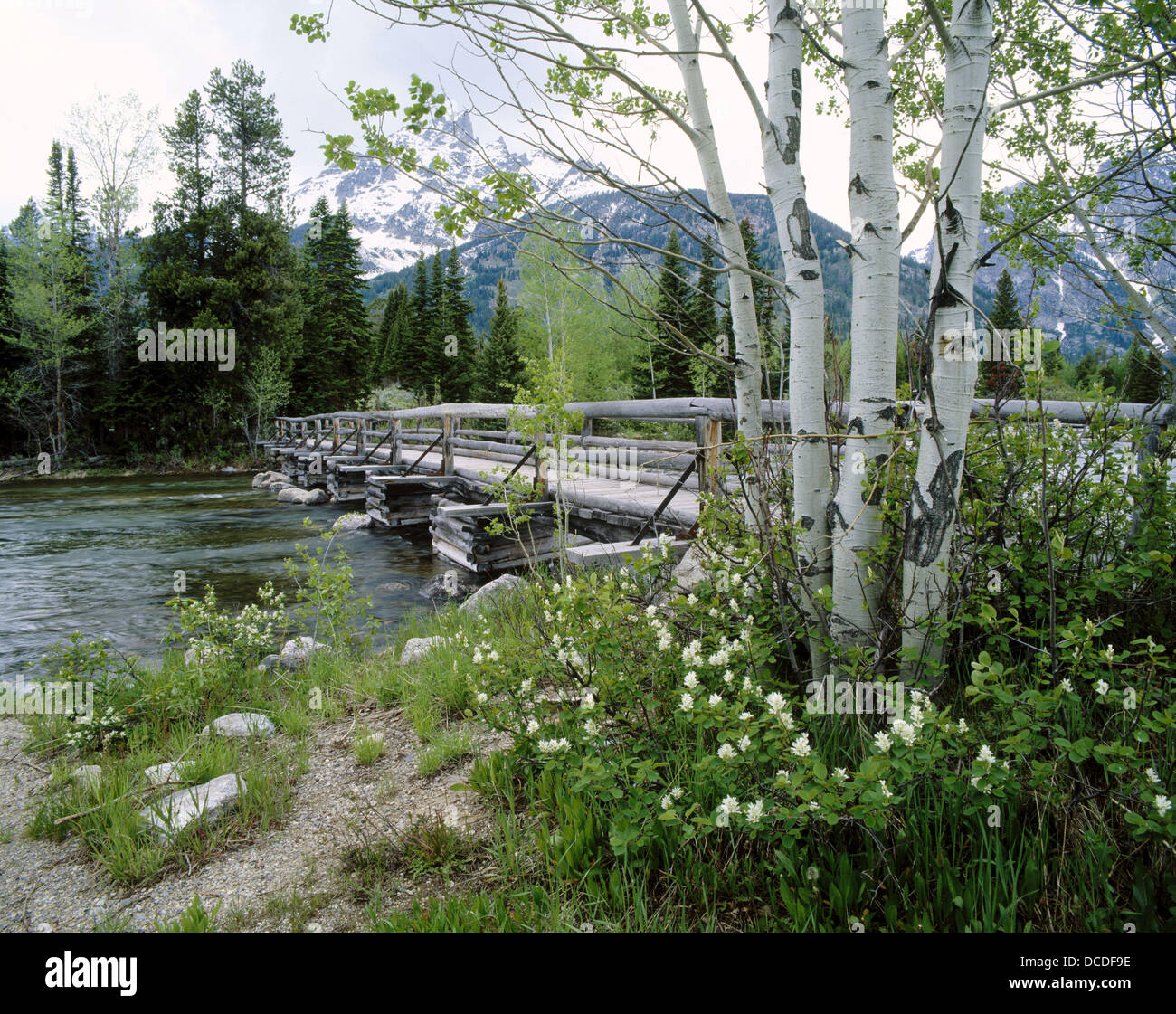 Cottonwood Creek Bridge. Grand Teton National Park. Teton County, Wyoming. USA Stock Photo Alamy