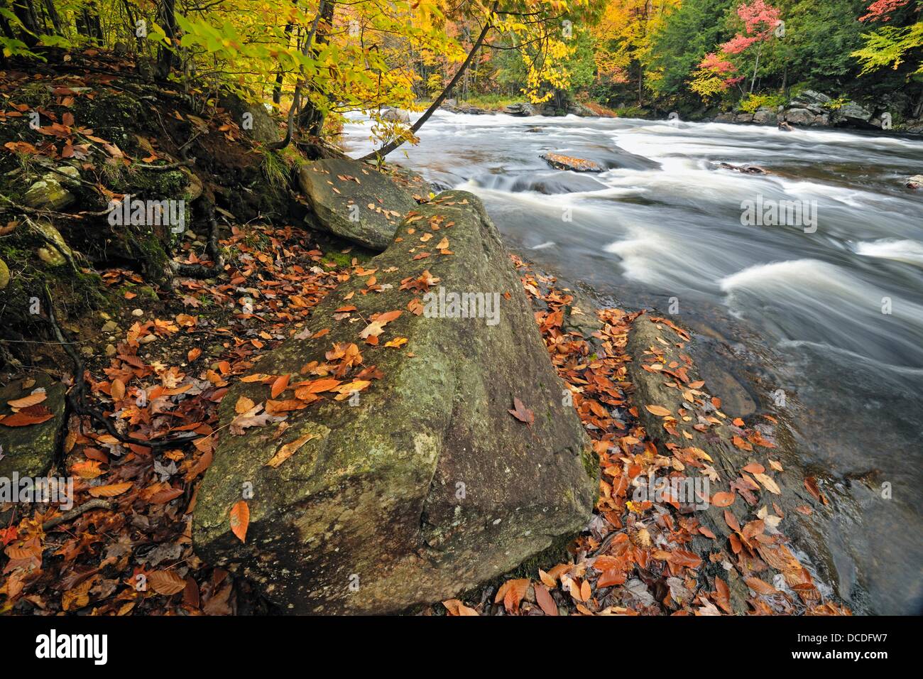 Oxtongue river hi-res stock photography and images - Alamy