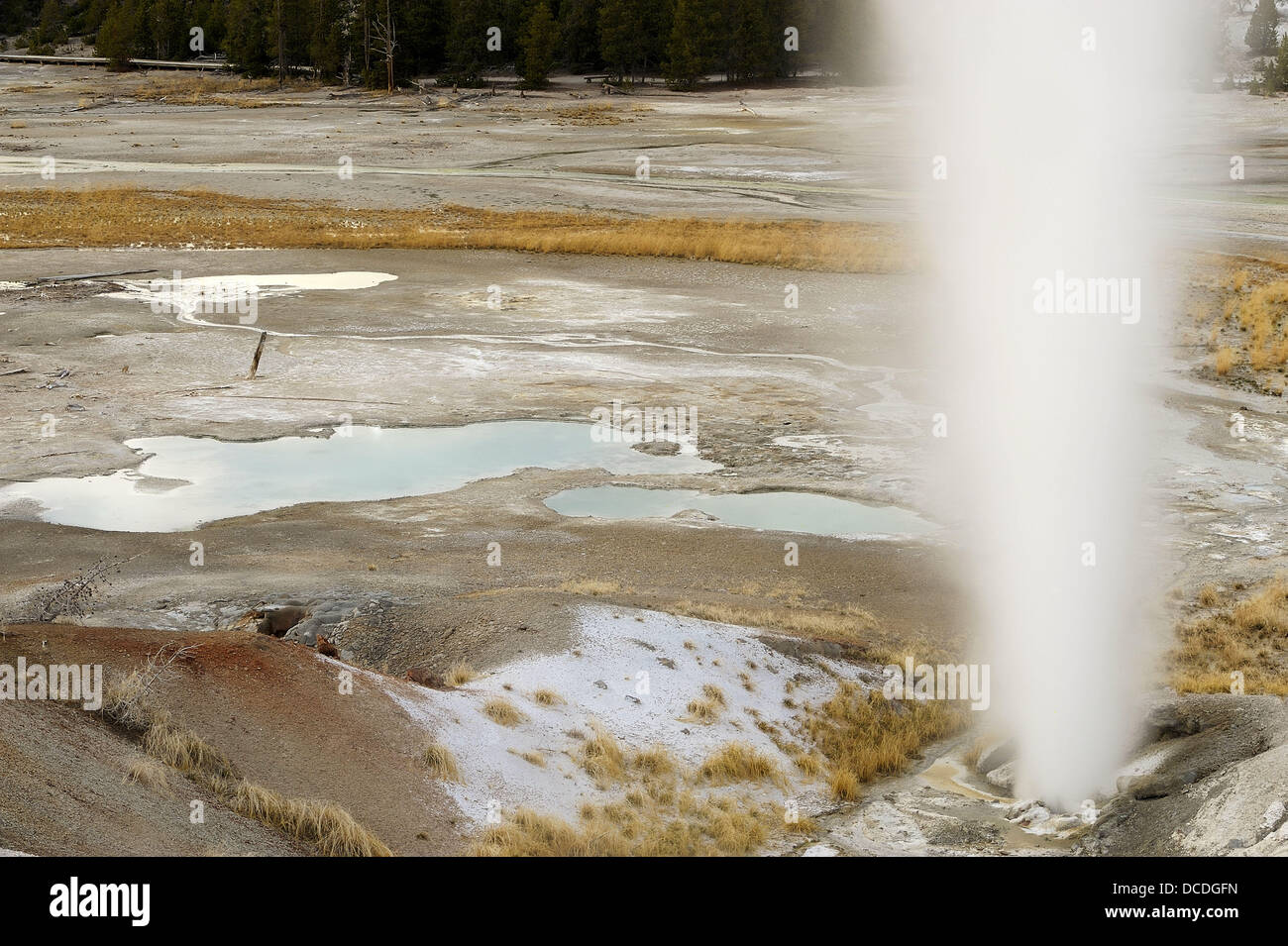 Black Growler Steam vents in Porcelain Basin at the Norris Geyser Basin ...