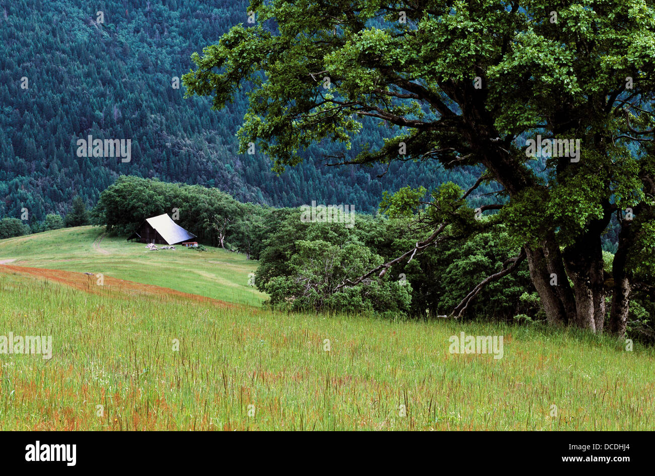 Redwood National Park, Lyons´ Ranch Rural Historic District,Bald Hills