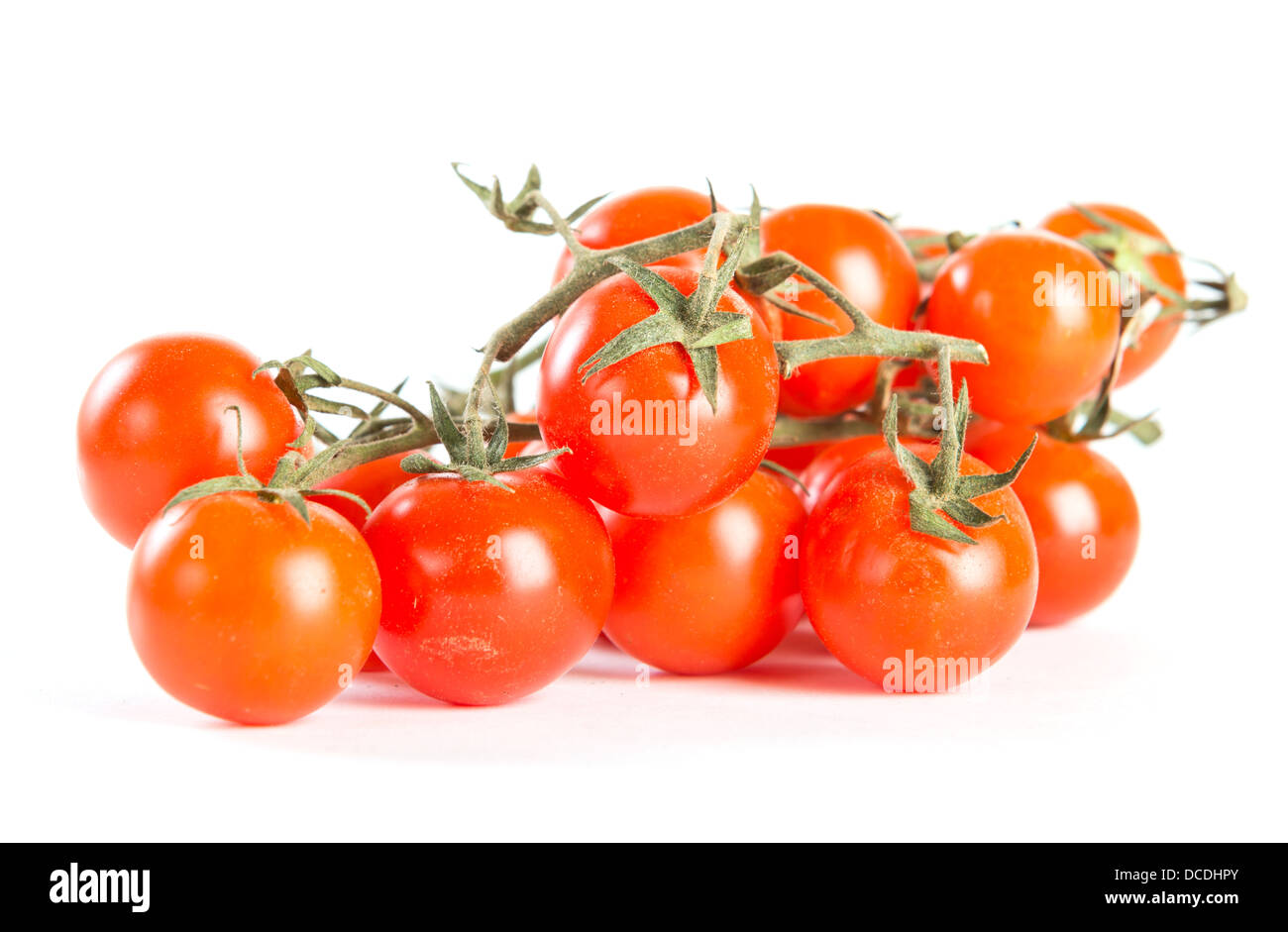 Cherry tomatoes on branch on white Stock Photo - Alamy